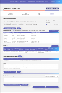 screenshot-of-mtp-documentation-tool-encounter-summary-page